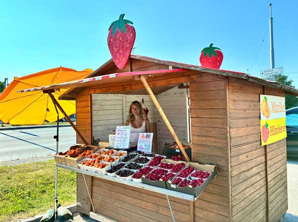 Wurzers Beerenstand in Wieselburg beim Forstinger