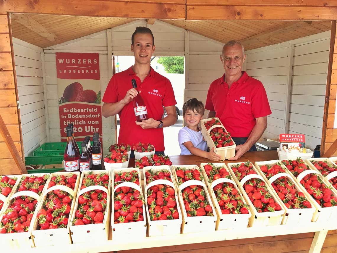 Wurzers Erdbeeren aus Bodensdorf bei Wieselburg Selberpflücken Erdbeerfeld Erdbeerland Mostviertel Niederösterreich