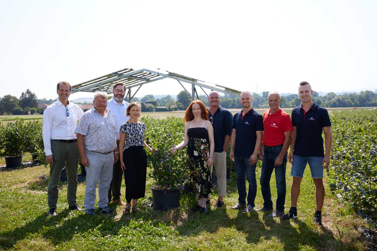 Wurzers Heidelbeeren Agri-PV Photovoltaik Wieselburg Mostviertel Niederösterreich
