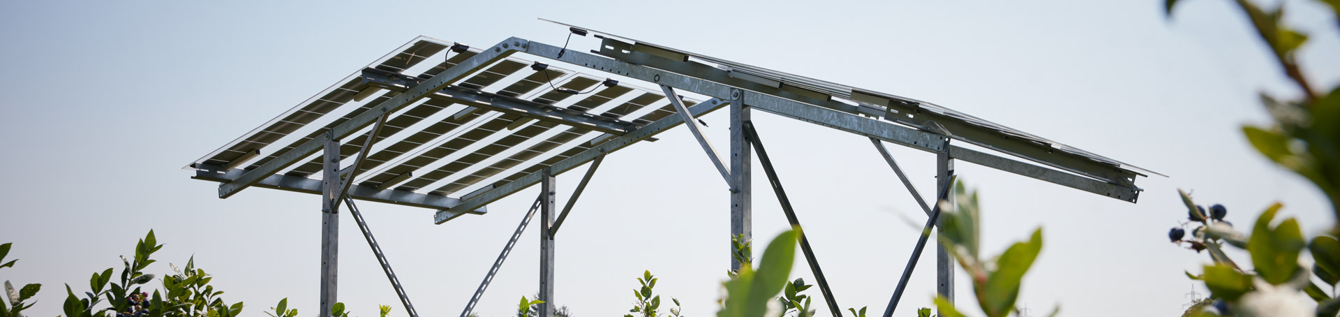 Agri-PV über Heidelbeeren in Bodensdorf bei Wieselburg
