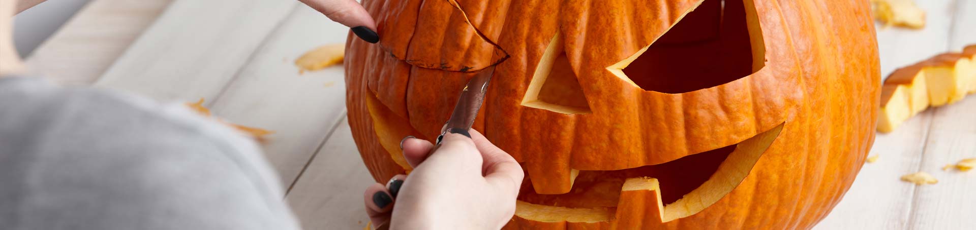 Schnitzkrbisse kaufen Halloweenkrbisse kaufen auf Wurzers Krbishof in Bodensdorf bei Wieselburg in Niedersterreich