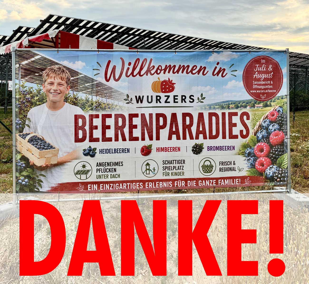 Saisonende in Wurzers Beerenparadies