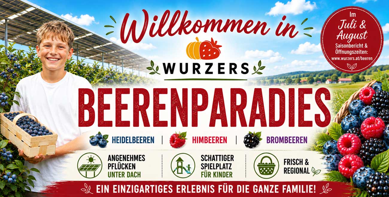 Wurzers Beerenparadies: Heidelbeeren, Himbeeren und Brombeeren selber pflücken in Bodensdorf bei Wieselburg in Niederösterreich