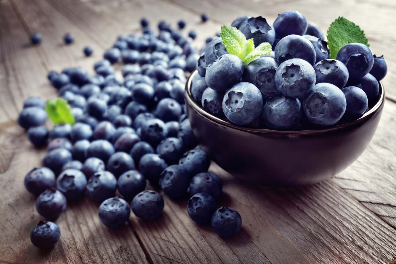 Wurzers Heidelbeeren selber pflücken in Bodensdorf bei Wieselburg im Mostviertel in Niederösterreich